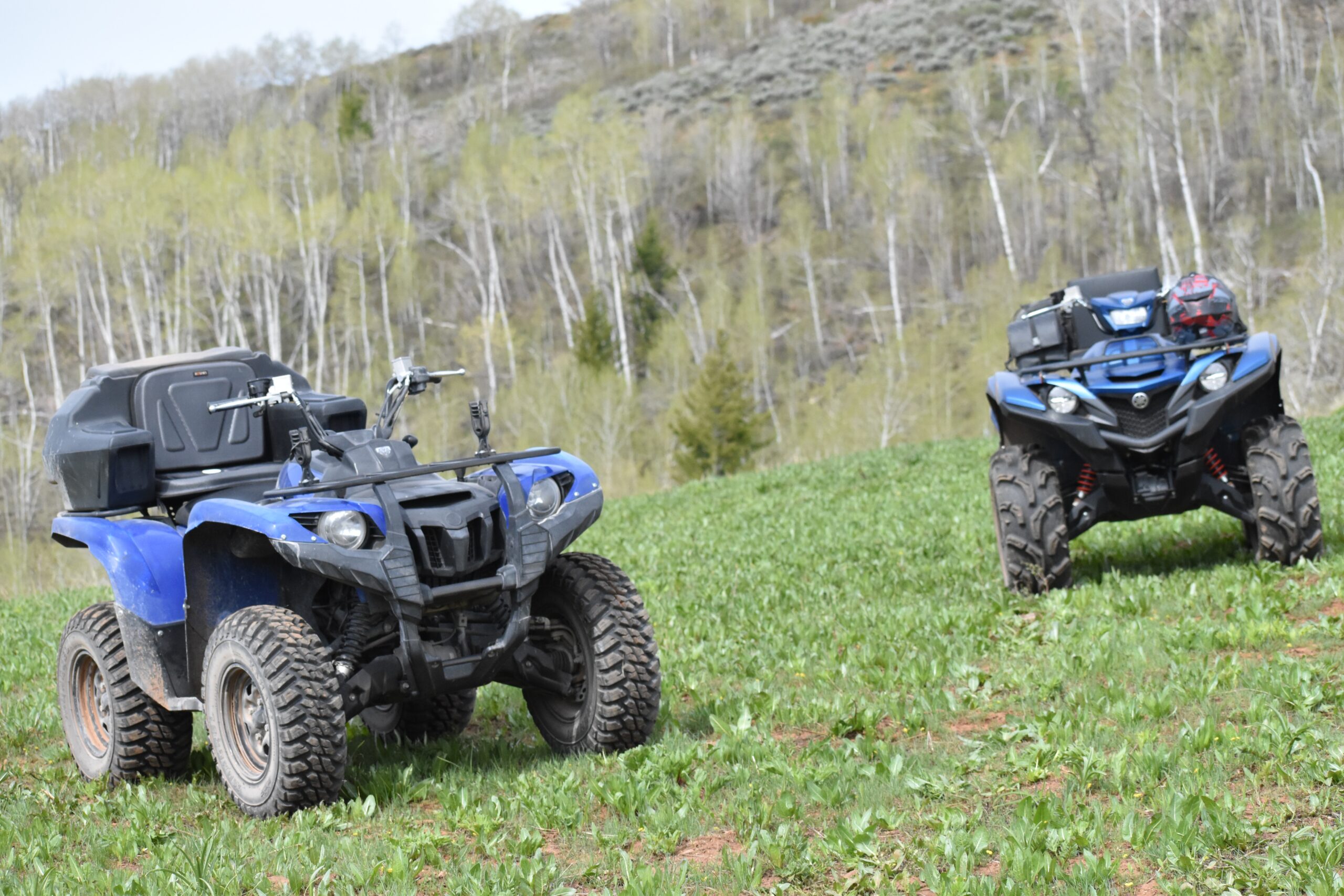 This is a pair of black and blue Polaris Ranger 700 XPs against a wooded forest landscape.