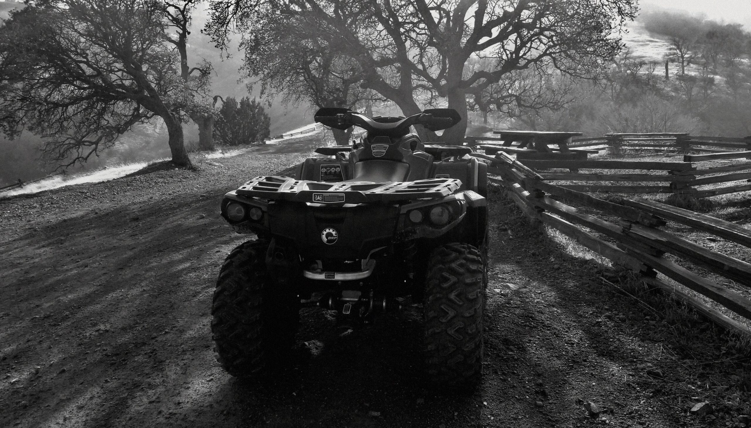 This is a black and white picture of a Polaris Ranger 500 in the woods.