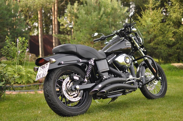 black-harley-davidson-parked-on-grass-with-chrome-exhaust Black cruiser motorcycle with chrome exhaust pipes parked on a green lawn near trees