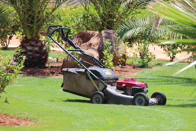 gas-powered-push-lawn-mower-on-freshly-cut-grass Gas powered push lawn mower with grass catcher cutting a green lawn in a landscaped backyard